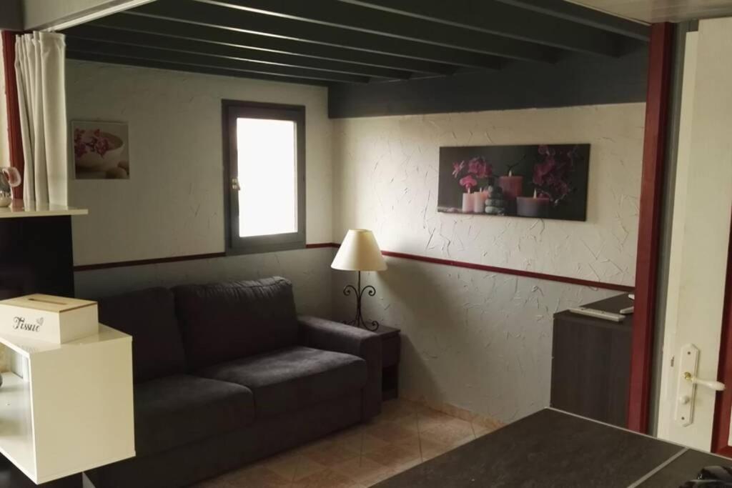 Luxueux studio mezzanine en résidence avec piscine au village Le Barcarès Esterno foto