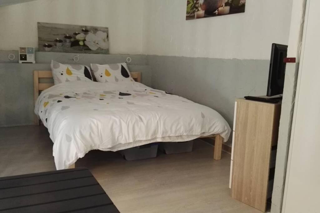 Luxueux studio mezzanine en résidence avec piscine au village Le Barcarès Esterno foto